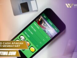 Apk Wild Cash apakah terbukti membayar? Cek fakta nyata 2025