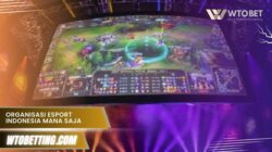 Organisasi Esport Indonesia mana saja yang resmi dan berprestasi?