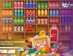 Permainan Menata Barang Rumah yang Asyik dan Kreatif