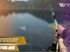 Game memancing ikan di sungai 3d dengan grafis realistis