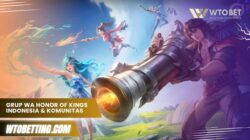 Grup Wa Honor Of Kings Indonesia