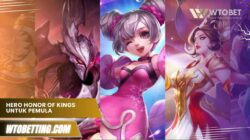 Hero Honor of Kings untuk Pemula yang paling mudah dipakai