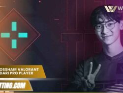 Kode Crosshair Valorant Terbaik Dari Pro Player 2025