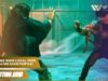 Rilis game indie lokal 2025 yang paling diantisipasi gamer