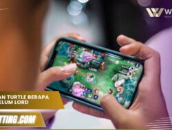 Kalahkan Turtle Berapa Kali Sebelum Lord? Ini Jawabannya