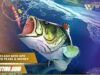 Fishing Clash Mod Apk Unlimited Pearl & Money Terbaru