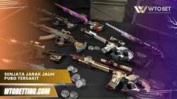 senjata jarak jauh pubg tersakit