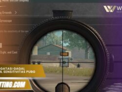 Cara Mengatasi Gagal Mengambil Sensitivitas PUBG 100% Work
