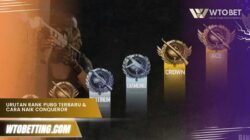 Urutan Rank PUBG Terbaru & Cara Cepat Naik Conqueror