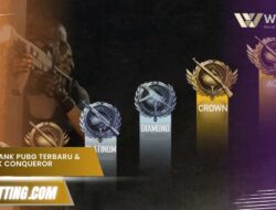 Urutan Rank PUBG Terbaru & Cara Cepat Naik Conqueror