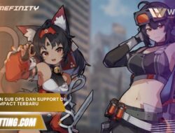 Perbedaan Sub DPS dan Support di Genshin Impact Terbaru