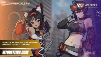 Perbedaan Sub DPS dan Support di Genshin Impact Terbaru