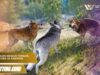Game Evolusi Hewan Terbaik, Wajib Dicoba di Android