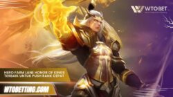 Hero Farm Lane Honor of Kings Terbaik untuk Push Rank Cepat