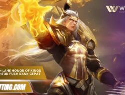 Hero Farm Lane Honor of Kings Terbaik untuk Push Rank Cepat