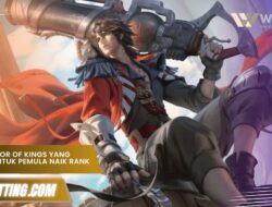 Hero Honor of Kings yang Mudah untuk Pemula Cepat Naik Rank