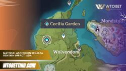 Material Ascension Senjata Genshin Impact, Ada yang Tersembunyi!