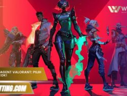 Panduan Semua Agent Valorant, Mana yang Cocok Buat Kamu?
