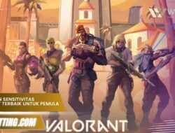 Settingan Sensitivitas Valorant Terbaik untuk Pemula 2025