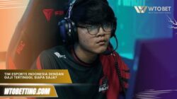 Tim Esports Indonesia dengan Gaji Tertinggi, Siapa Saja?