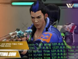 Valorant Lag Spike Tiba-Tiba Padahal Ping Kecil, Ini Solusinya